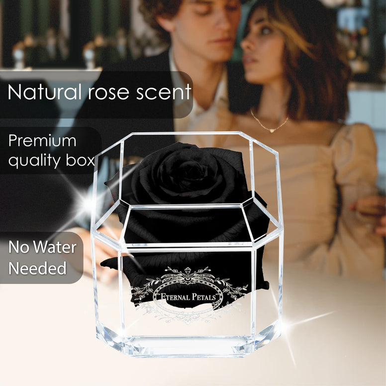 A 100% Real Rose That Lasts Years - Eternal Petals, Handmade in Dubai – White Gold Solo (Black)