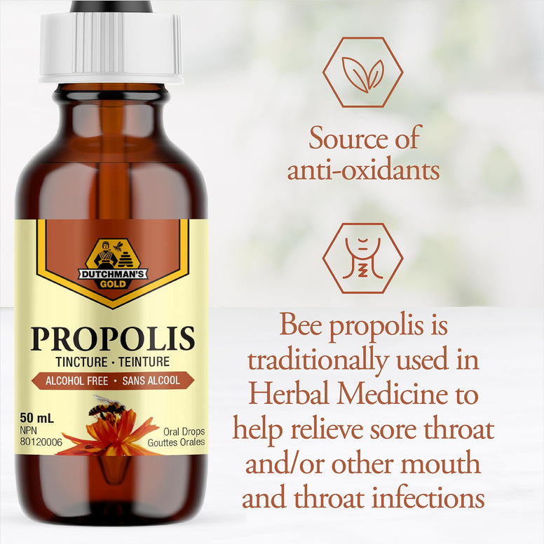 Dutchman's Gold Propolis 20% Tincture - Alcohol Free - 50ml