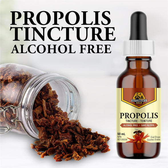 Dutchman's Gold Propolis 20% Tincture - Alcohol Free - 50ml