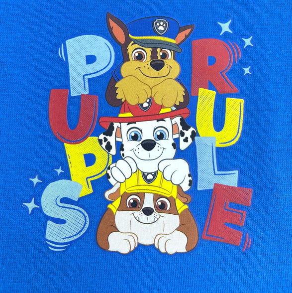 Paw Patrol The Power of Pups Children's Shortie Summer Pyjamas