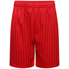 Lyallpur Unisex Red PE School Shadow Stripe Shorts Boys Girls Adult Football Gym Sports Short