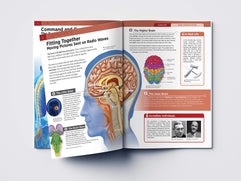 Human Body - Brain And Nervous System: Knowledge Encyclopedia For Children