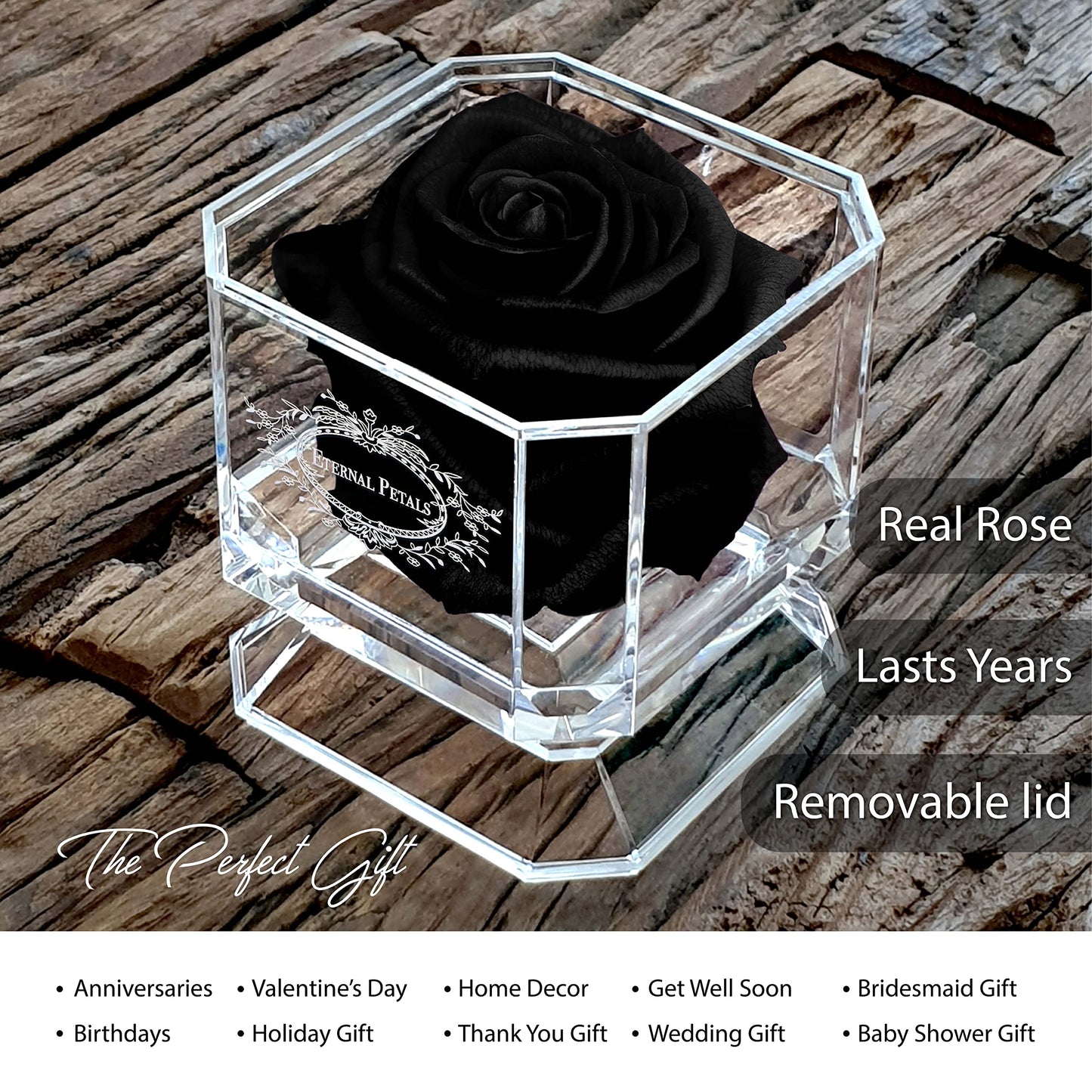 A 100% Real Rose That Lasts Years - Eternal Petals, Handmade in Dubai – White Gold Solo (Black)